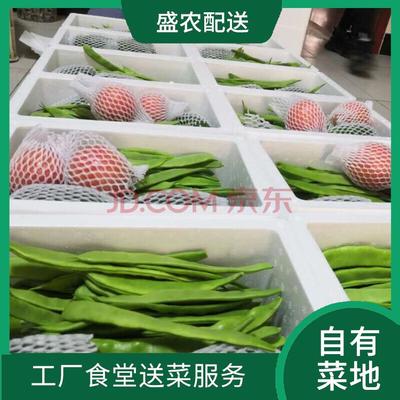 東莞蔬菜配送服務(wù) 新鮮蔬菜批發(fā)的專業(yè)之選