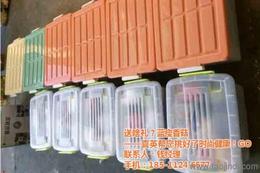 新鮮蔬菜批發 可靠的新鮮蔬菜廠家貨源 供應信息